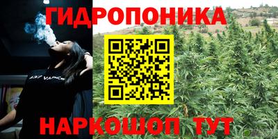 jwh Будённовск