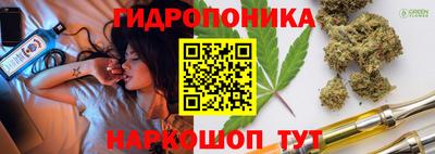 jwh Будённовск
