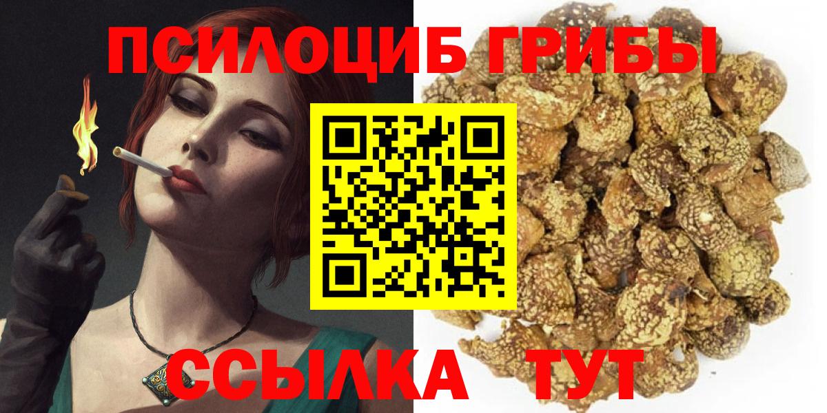 Псилоцибиновые грибы Psilocybe  Псилоцибиновые грибы GOLDEN TEACHER  Смоленск  Вход с VPN 